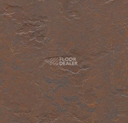 Кварцвиниловые полы Forbo Marmoleum Modular te3746 Newfoundland slate фото 1 | FLOORDEALER